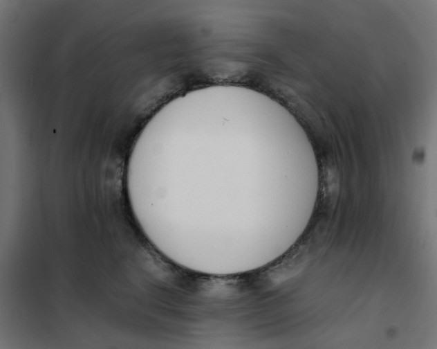 X0000102030664200808081813