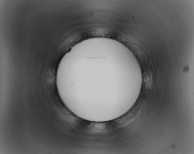 X0000102030665200808081813