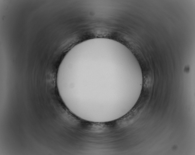 X0000102030666200808081813