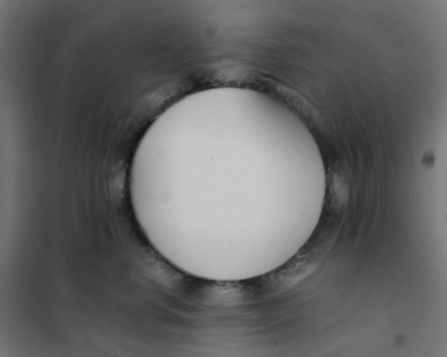 X0000102030668200808081813