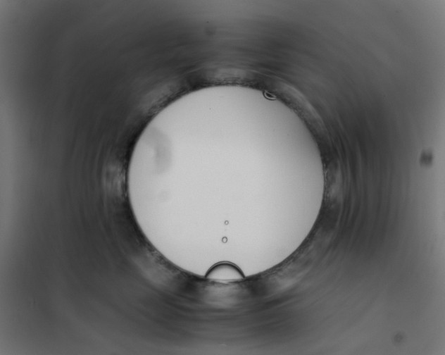 X0000102030669200808081813