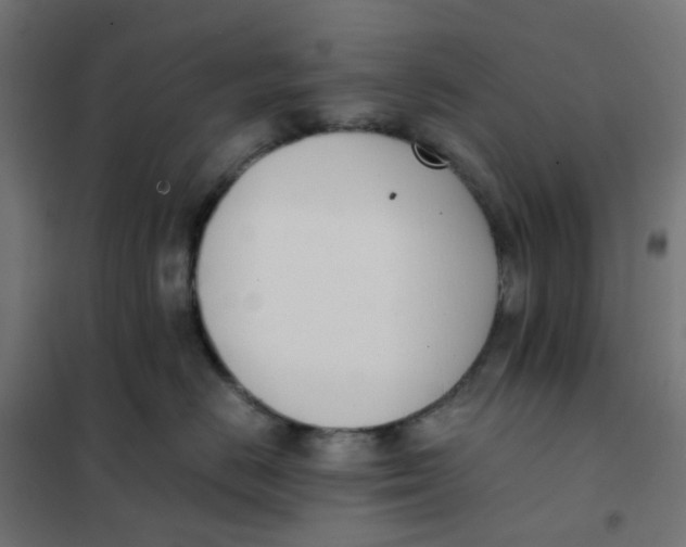 X0000102030670200808081813