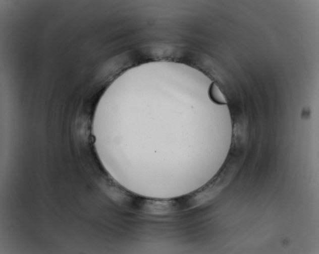 X0000102030671200808081813