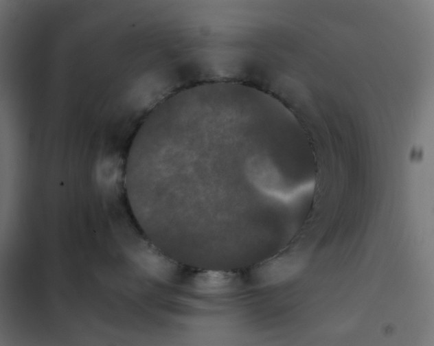 X0000102030672200808081813