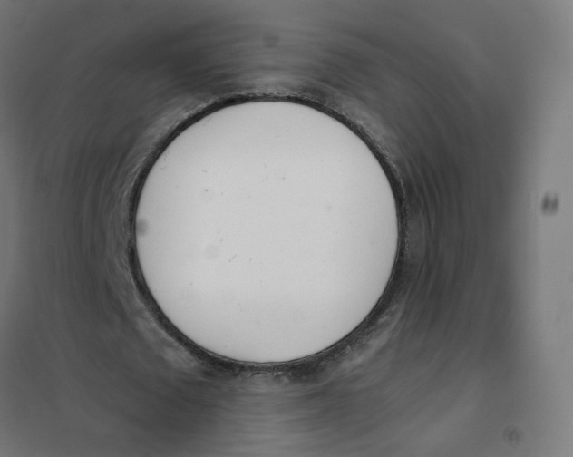 X0000102030673200808081812