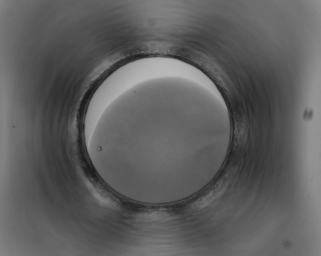 X0000102030674200808081812