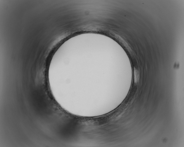 X0000102030675200808081812