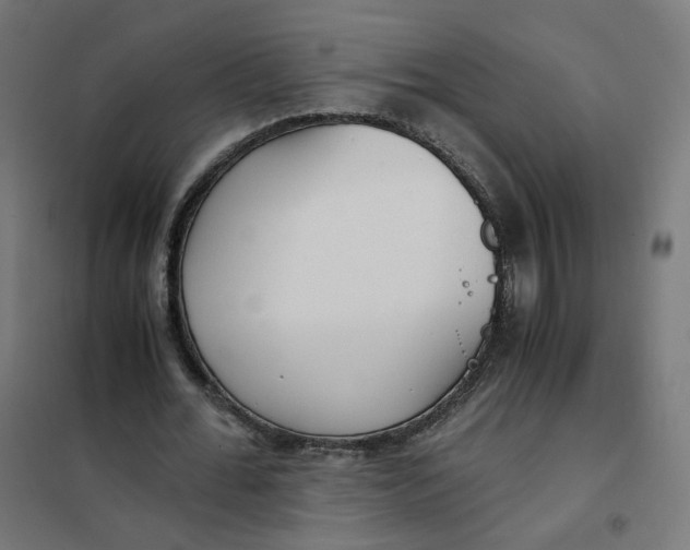 X0000102030676200808081812