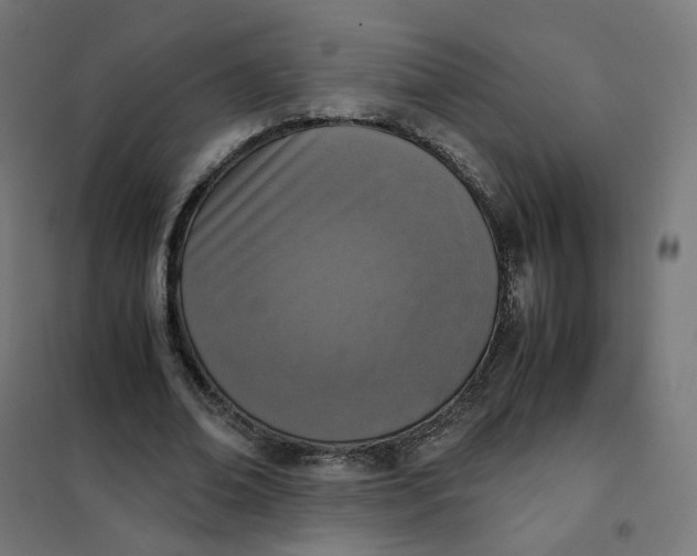 X0000102030678200808081812