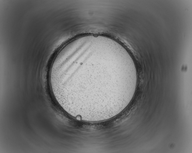 X0000102030679200808081812