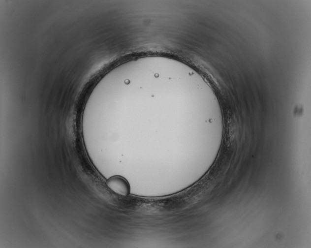 X0000102030680200808081812