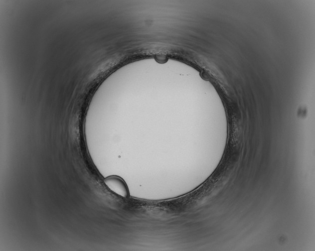 X0000102030681200808081812