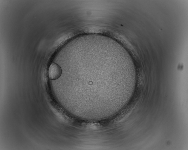 X0000102030683200808081812