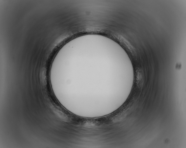 X0000102030684200808081812