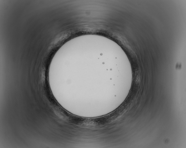 X0000102030685200808081812