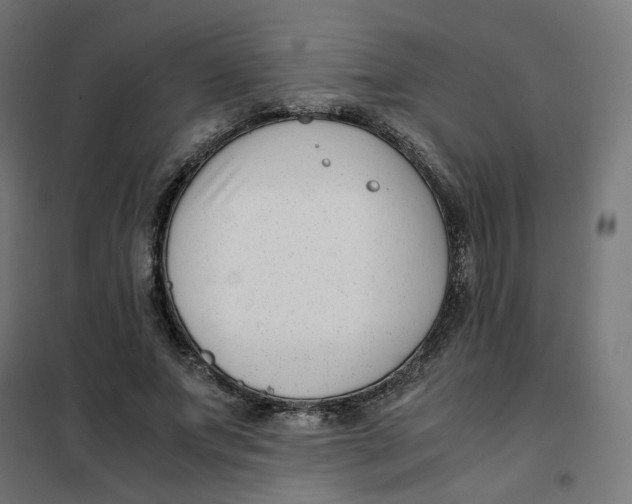 X0000102030687200808081812