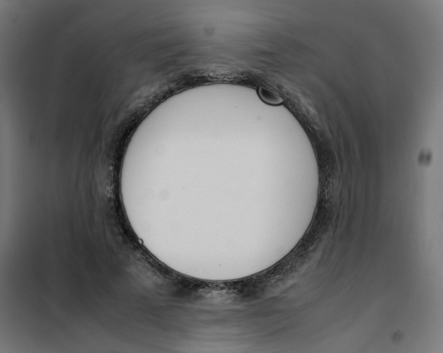 X0000102030689200808081812