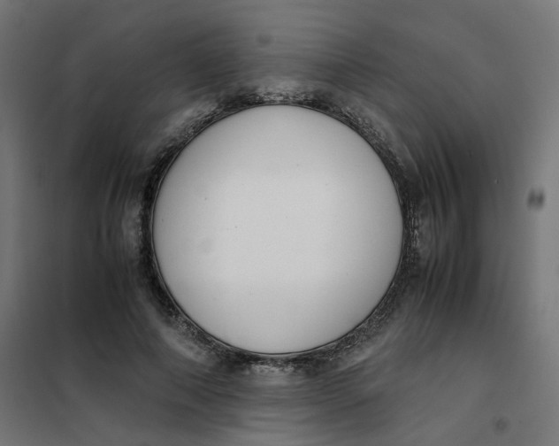 X0000102030690200808081812