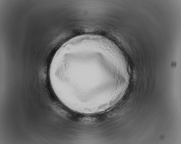 X0000102030691200808081812