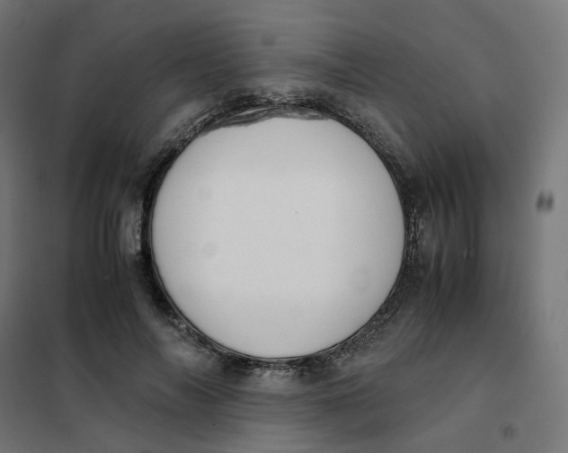 X0000102030694200808081812