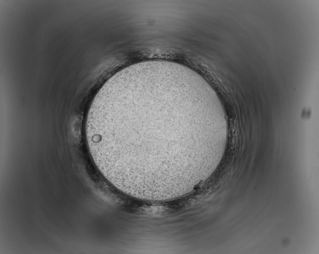 X0000102030695200808081812