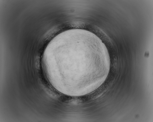 X0000102030696200808081812