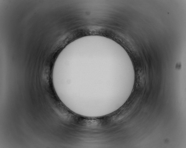 X0000102030698200808081812