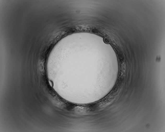 X0000102030699200808081812