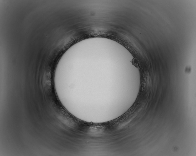 X0000102030700200808081812