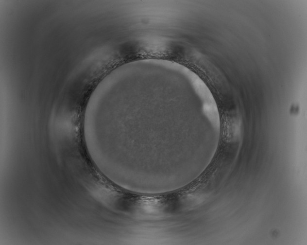 X0000102030701200808081812