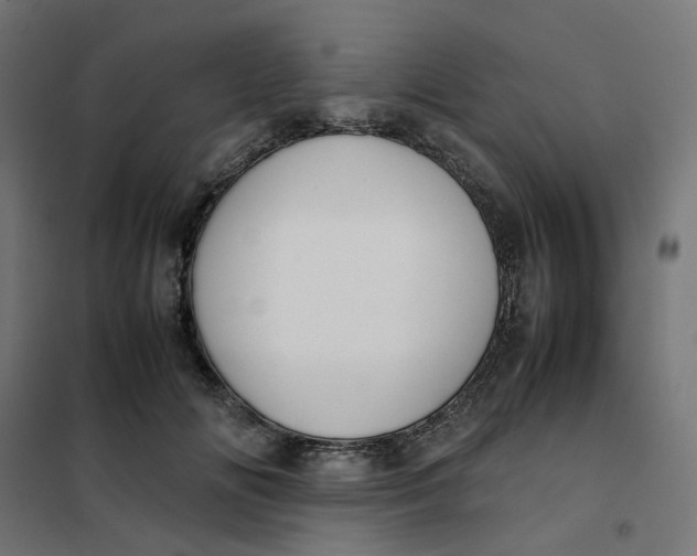 X0000102030702200808081812