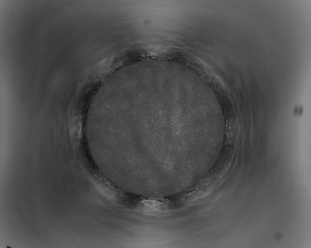 X0000102030703200808081812