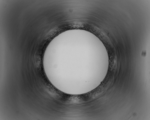 X0000102030704200808081812