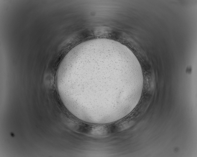 X0000102030705200808081812