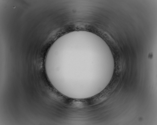 X0000102030706200808081812