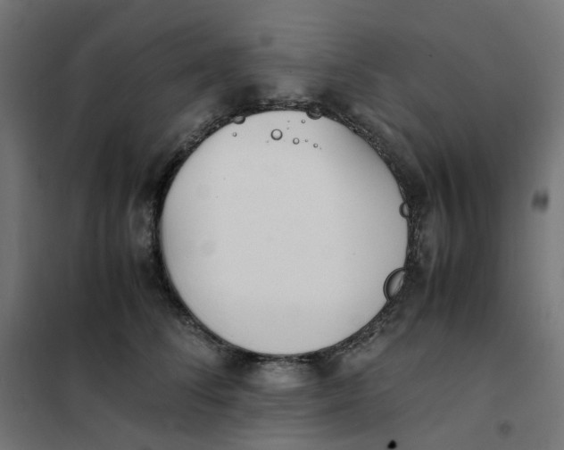 X0000102030708200808081812