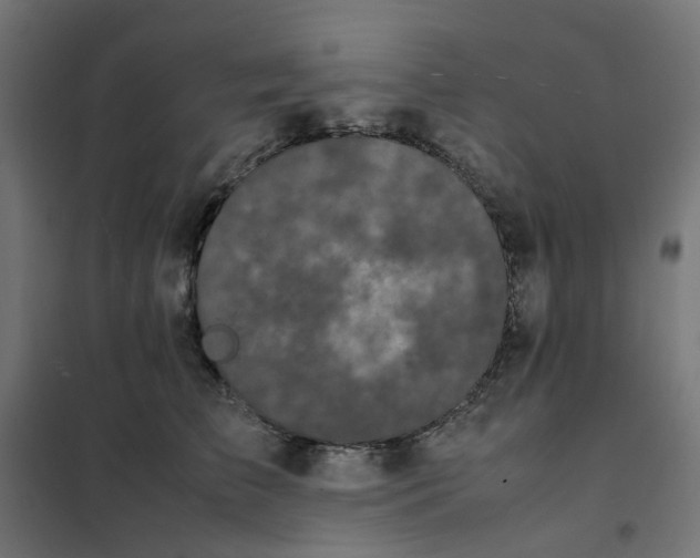 X0000102030709200808081812