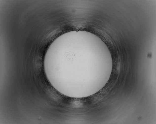 X0000102030710200808081812