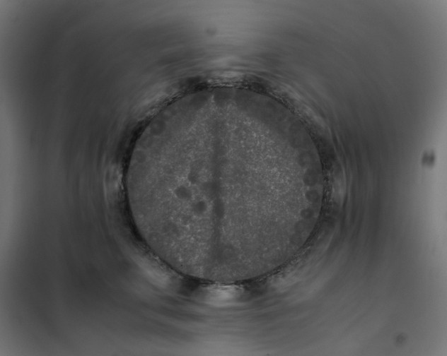 X0000102030711200808081812