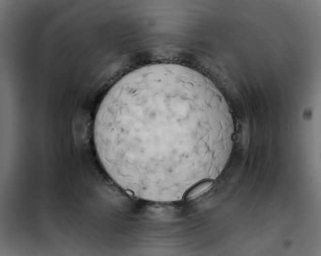 X0000102030712200808081812