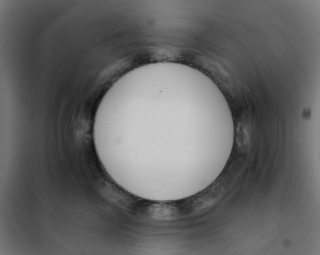 X0000102030714200808081812