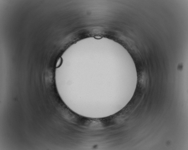 X0000102030715200808081812