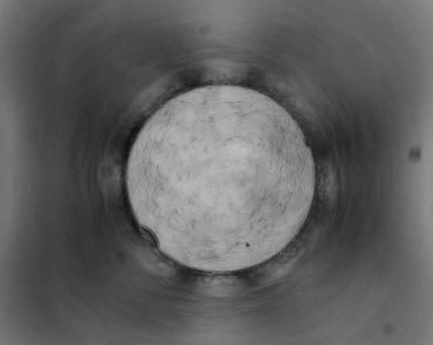 X0000102030716200808081812