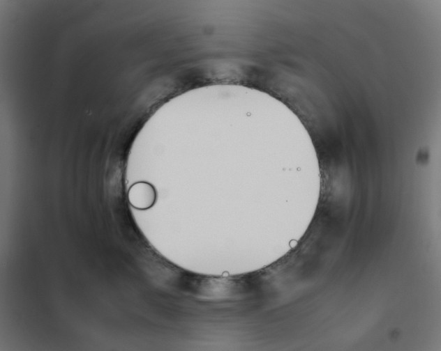 X0000102030717200808081812