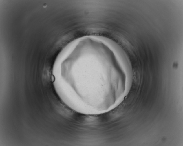 X0000102030718200808081812