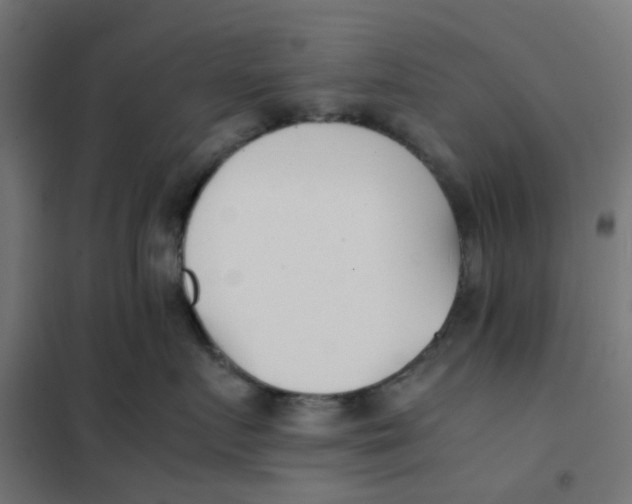 X0000102030719200808081812