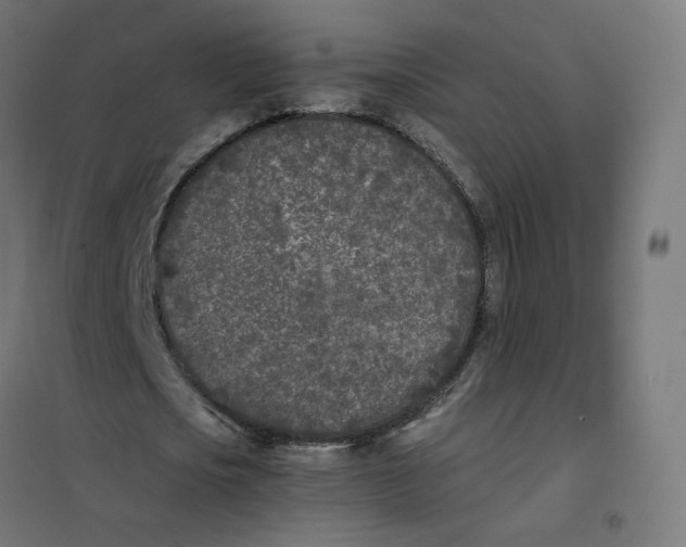 X0000102030721200808081811