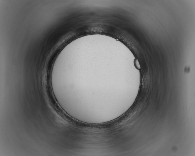 X0000102030722200808081811