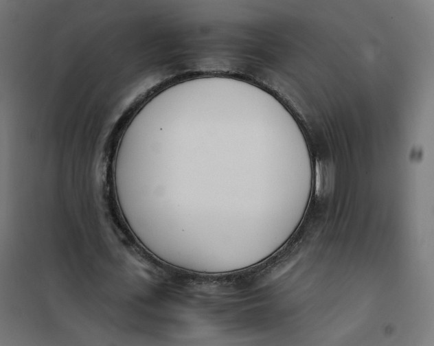 X0000102030723200808081811