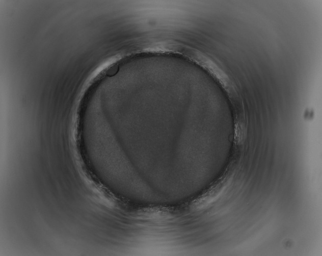 X0000102030724200808081811